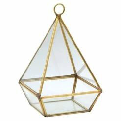 Providence Glass Terrarium Box, 7.5" 5 Providence Glass Terrarium Box, 7.5" -Home Decoration Sales Shop providence glass terrarium box 7.5 1