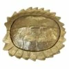 Providence Gold Metal Turtle Shell Box, 5" 1 Providence Gold Metal Turtle Shell Box, 5" -Home Decoration Sales Shop providence gold metal turtle shell box 5